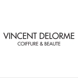 Logo de l'employeur VINCENT DELORME