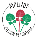 Logo de l'employeur MIKAEL MORIZOT