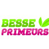 Logo de l'employeur BESSE PRIMEURS