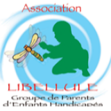 Logo de l'employeur ASSOCIATION LIBELLULE