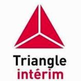 Logo de l'employeur TRIANGLE SOLUTIONS RH