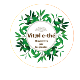 Logo de l'employeur SERY MARIE