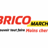 Logo de l'employeur BRICOMARCHE