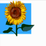 Logo de l'employeur JOIE DE VIVRE