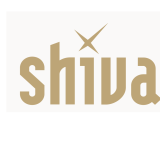 Logo de l'employeur ALLIANCE SERVICES OUEST