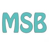 Logo de l'employeur MSB VINCENT FREDERIC