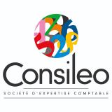Logo de l'employeur CONSILEO