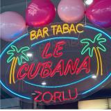 Logo de l'employeur ZORLU