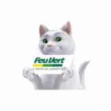 Logo de l'employeur FEU VERT