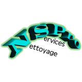 Logo de l'entreprise NSPRO