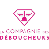 Logo de l'employeur LA COMPAGNIE DES DEBOUCHEURS