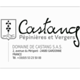 Logo de l'employeur DOMAINE DE CASTANG