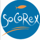 Logo de l'employeur SOCOREX