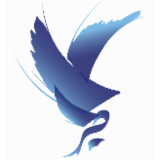 Logo de l'employeur DELICES ET SERVICES 2 PROXIMITE