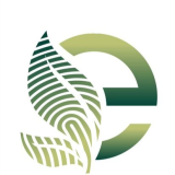 Logo de l'entreprise EDIVERT