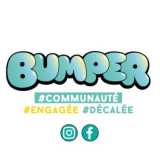 Logo de l'employeur BUMPER STORE