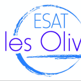 Logo de l'employeur ARTES ESAT TH