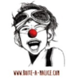 Logo de l'employeur LA BOITE A MALICE