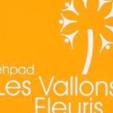 Logo de l'employeur EHPAD LES VALLONS FLEURIS