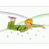 Logo de l'employeur LE PETIT PRINCE