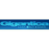 Logo de l'employeur GIGANTICA CARP SARL