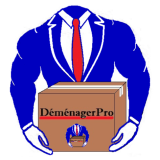 Logo de l'employeur DEMENAGERPRO