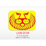 Logo de l'employeur LION D'OR 59