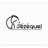 Logo de l'employeur BOX 29 DEMENAGEMENTS JEZEQUEL