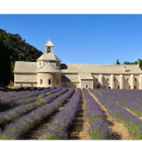 Logo de l'employeur EURL SENANQUE