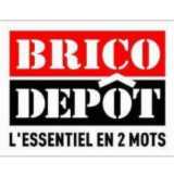 Logo de l'employeur BRICO DEPOT