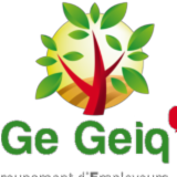 Logo de l'employeur GEIQ3A