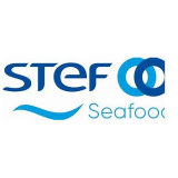 Logo de l'employeur STEF TRANSPORT BOULOGNE