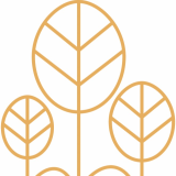 Logo de l'employeur RESTAURANT LA FORET