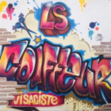 Logo de l'employeur L.S COIFFURE VISAGISTE