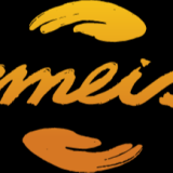 Logo de l'employeur GROUPE EMEIS