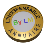 Logo de l'employeur LM Groupe