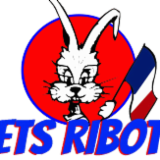 Logo de l'employeur RIBOT(ETABLISSEMENTS...)