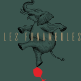Logo de l'employeur FUNAMBULES