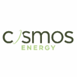 Logo de l'employeur COSMOS ENTREPRISE