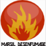 Logo de l'employeur MARSIL DESENFUMAGE