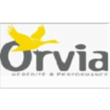 Logo de l'employeur ORVIA