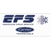 Logo de l'employeur EFS 91