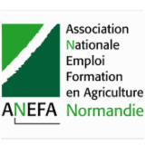 Logo de l'employeur ASSOCIATION NATIONALE EMPLOI FORMATION E