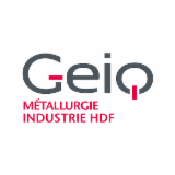 Logo de l'entreprise GEIQ MI