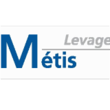 Logo de l'entreprise METIS LEVAGE