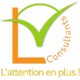 Logo de l'employeur LV CONSULTANTS