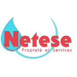 Logo de l'employeur NETESE