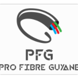 Logo de l'employeur PRO FIBRE GUYANE