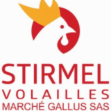 Logo de l'employeur France Travail Molsheim