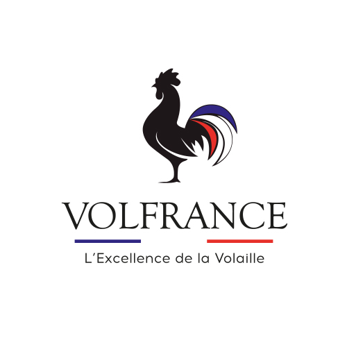 Logo de l'employeur VOLFRANCE